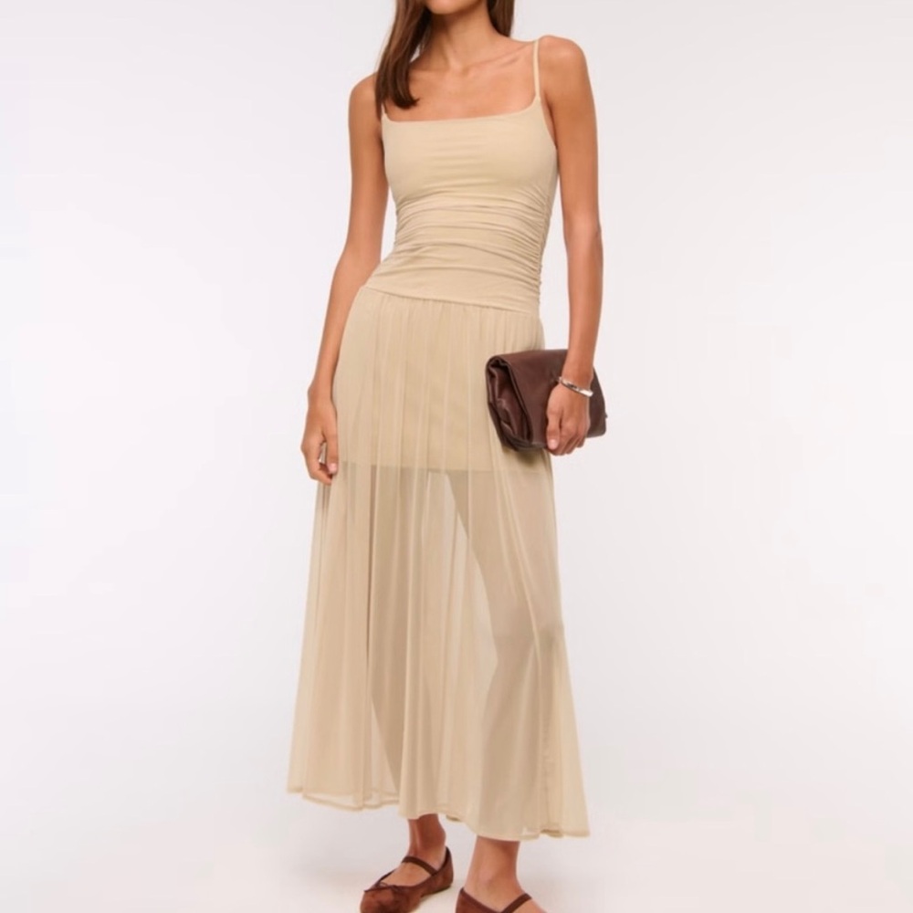 Abercrombie XS Sheer Beige Maxi Tulle Dress